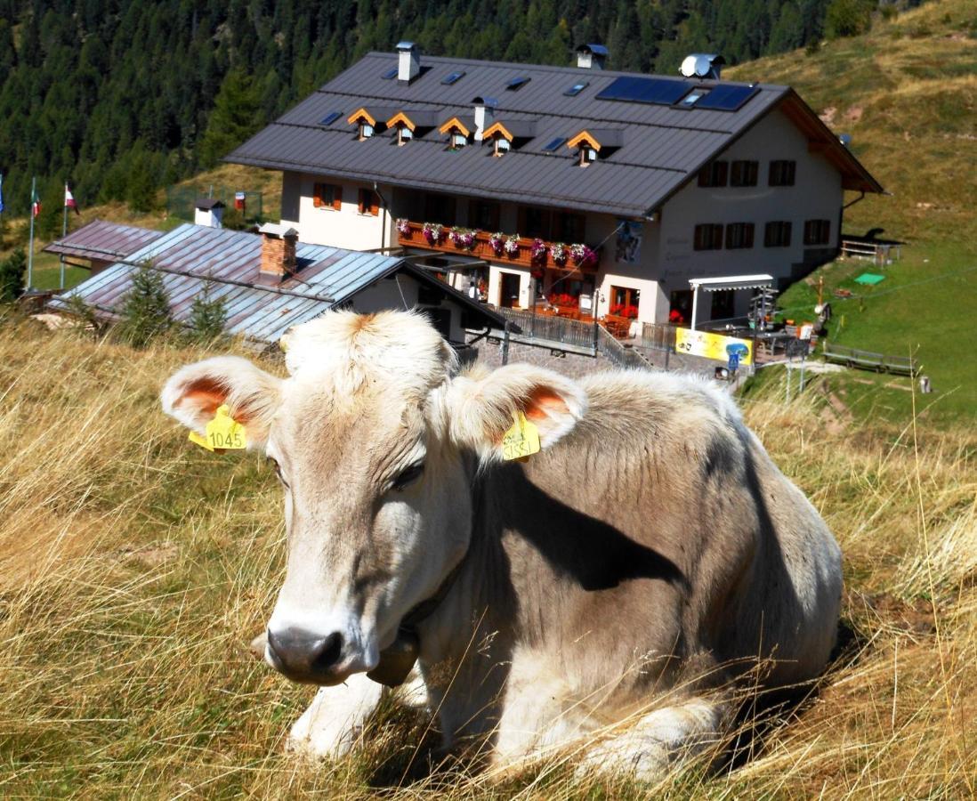 Rifugio Capanna Passo Valles Falcade Exteriér fotografie